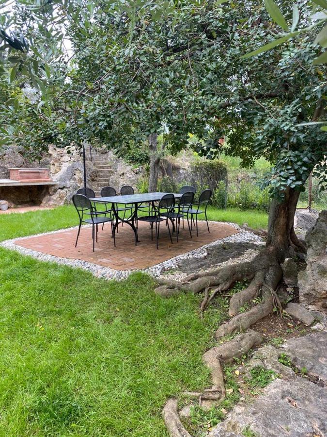 Villa Paolina Ceriale - App. 4 Posti ภายนอก รูปภาพ