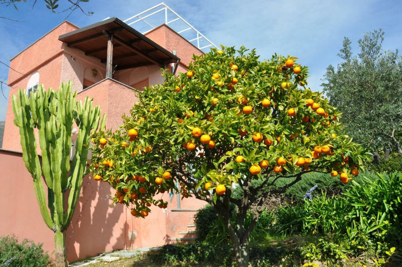 Villa Paolina Ceriale - App. 4 Posti ภายนอก รูปภาพ
